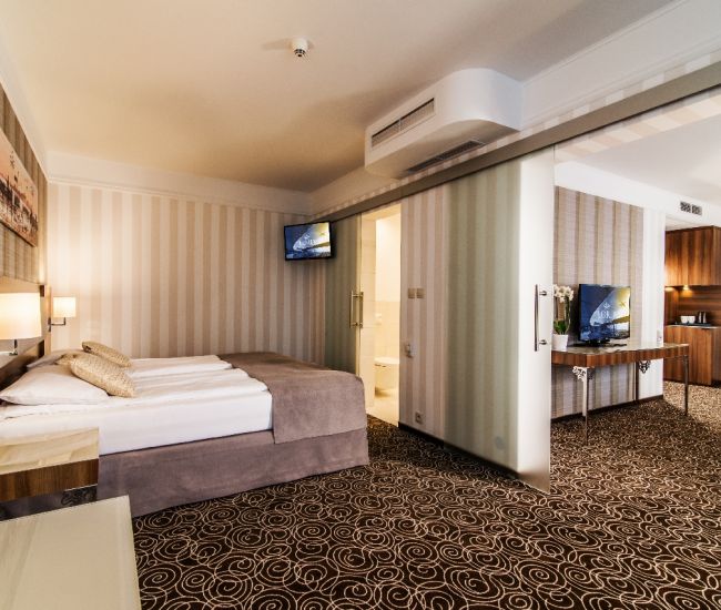 Deluxe Apartment